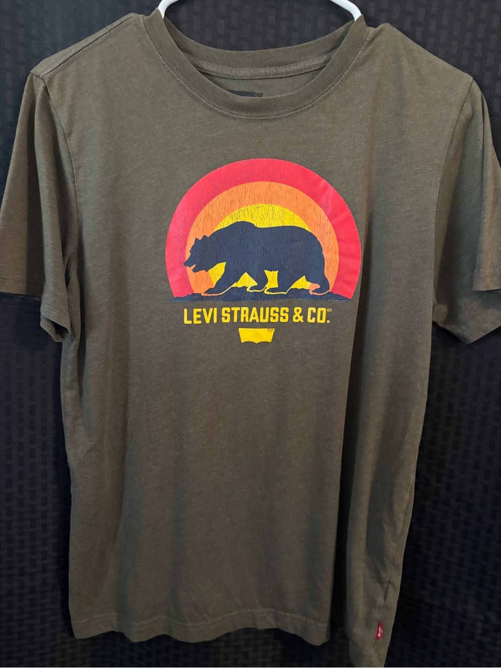 Levi's Olive Green Tee with Bear and Sunset Graphic